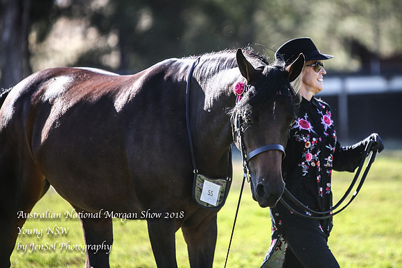 ANMS2018_2543