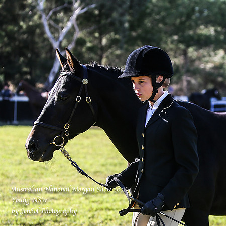 ANMS2018_2642