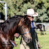 ANMS2018_2498