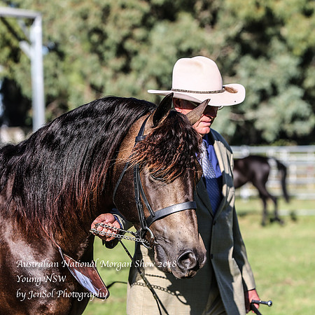 ANMS2018_2498