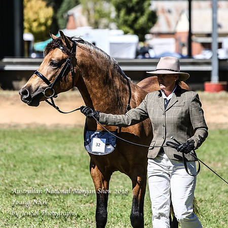 ANMS2018_3017