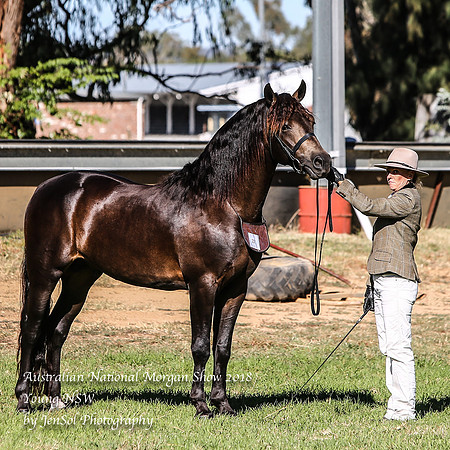ANMS2018_2733