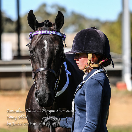 ANMS2018_2686