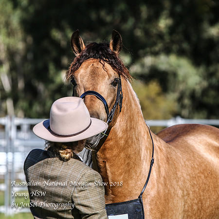ANMS2018_2752