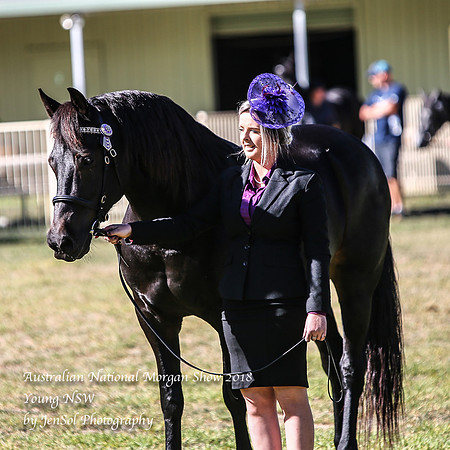 ANMS2018_2824