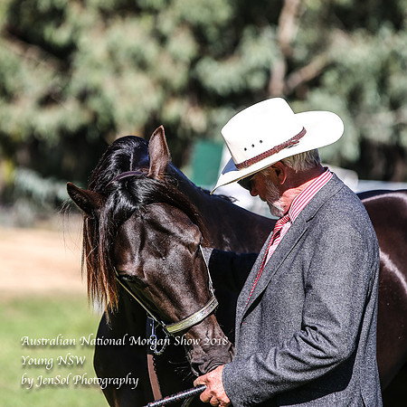 ANMS2018_2780