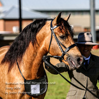 ANMS2018_2478