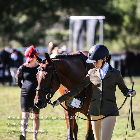 ANMS2018_2841