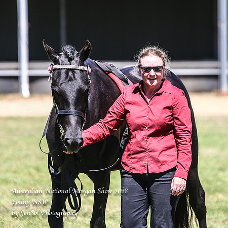 ANMS2018_3249