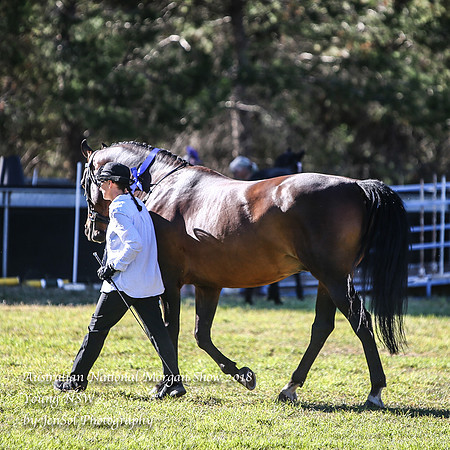 ANMS2018_2659