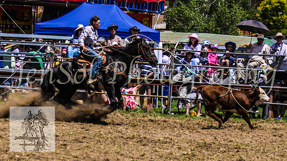 JindabyneRodeo2008-200