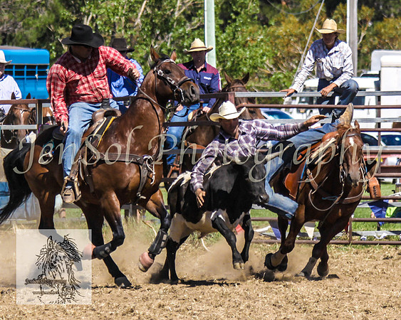 JindabyneRodeo2008-307