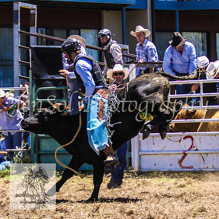 JindabyneRodeo2008-173