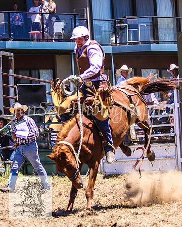 JindabyneRodeo2008-117