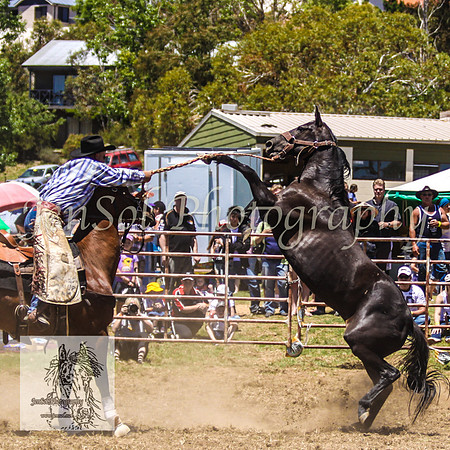 JindabyneRodeo2008-106