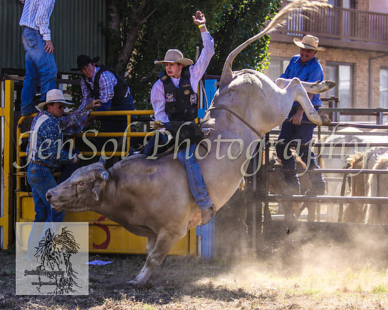 JindabyneRodeo2008-319
