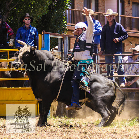JindabyneRodeo2008-154
