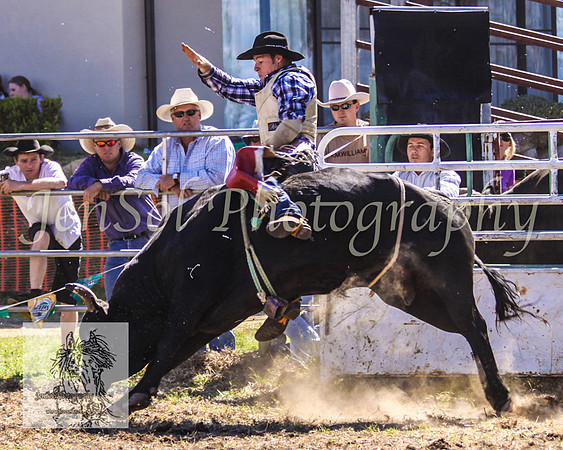 JindabyneRodeo2008-327