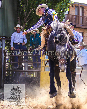 JindabyneRodeo2008-304
