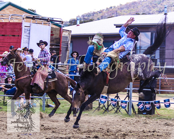 JindabyneRodeo2008-207