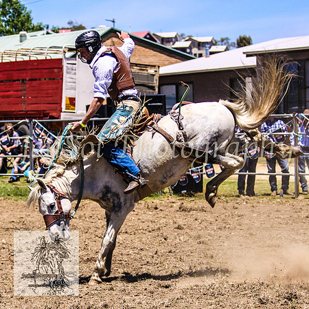 JindabyneRodeo2008-111