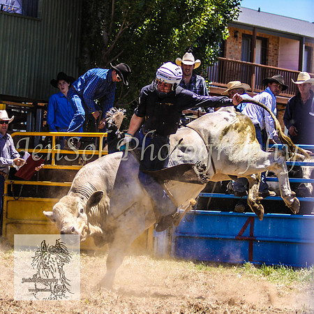 JindabyneRodeo2008-152