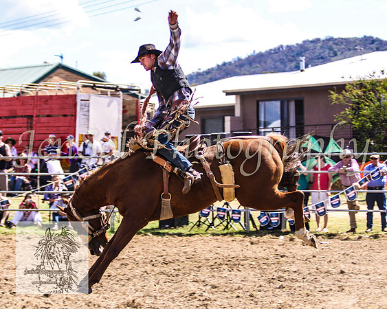 JindabyneRodeo2008-280