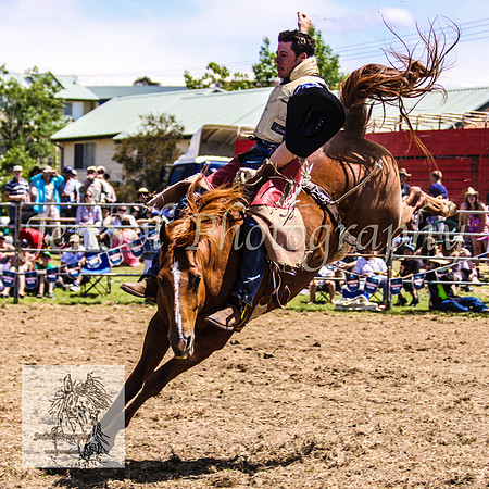 JindabyneRodeo2008-204