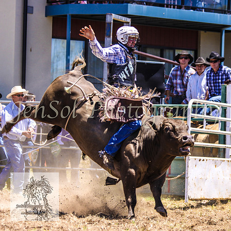 JindabyneRodeo2008-139