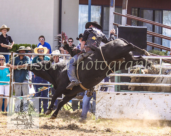 JindabyneRodeo2008-243