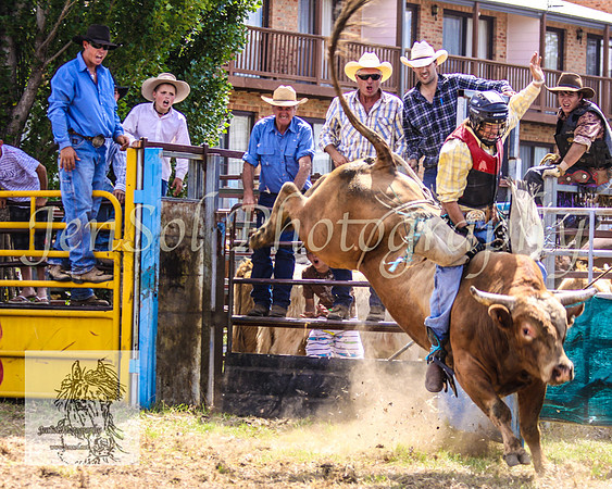 JindabyneRodeo2008-257