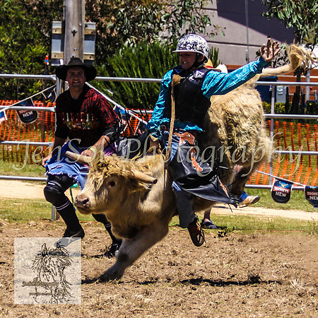 JindabyneRodeo2008-88