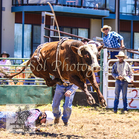 JindabyneRodeo2008-169