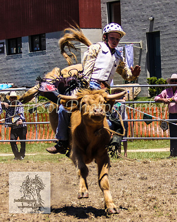 JindabyneRodeo2008-92