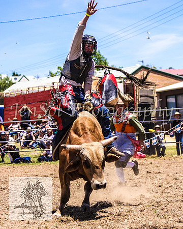 JindabyneRodeo2008-134
