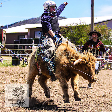 JindabyneRodeo2008-181
