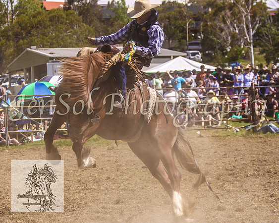 JindabyneRodeo2008-276