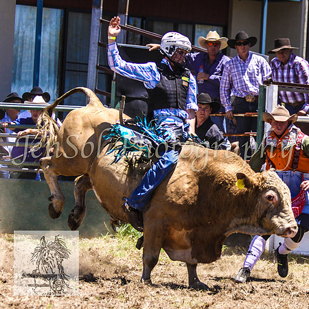 JindabyneRodeo2008-147