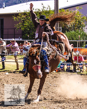 JindabyneRodeo2008-294