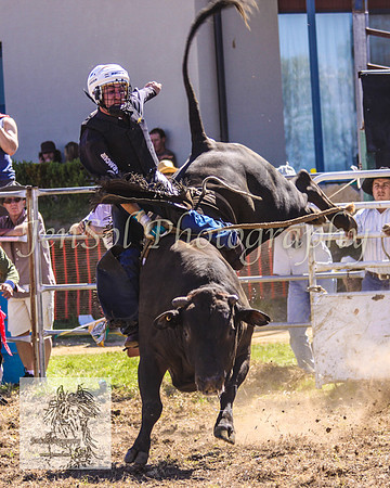 JindabyneRodeo2008-311