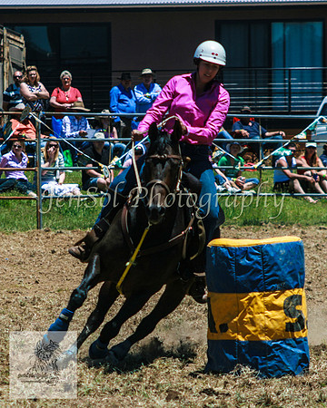 IMG_6591