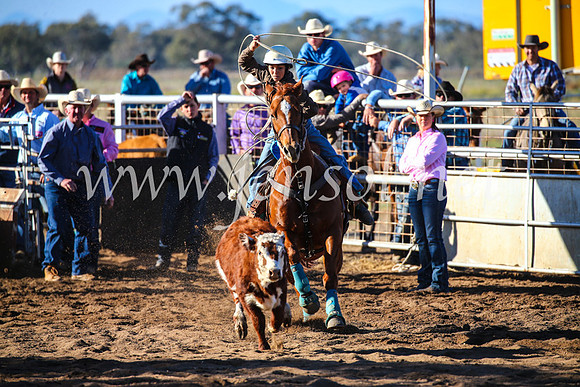 CoonambleRodeoCampdraftSun_2270