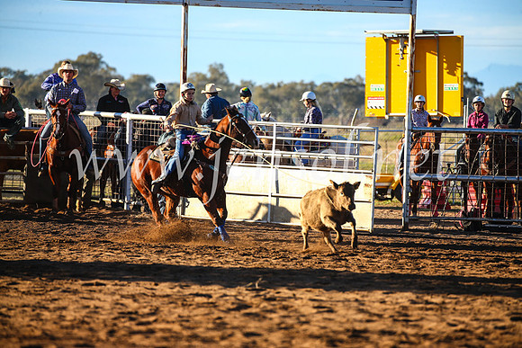 CoonambleRodeoCampdraftSun_1574