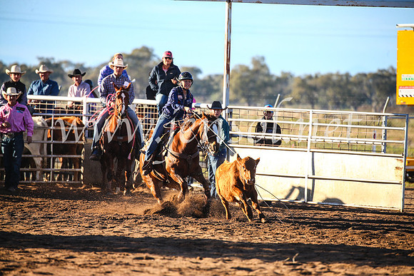 CoonambleRodeoCampdraftSun_1588