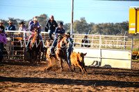 CoonambleRodeoCampdraftSun_1589
