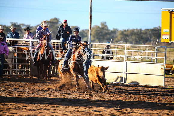 CoonambleRodeoCampdraftSun_1589