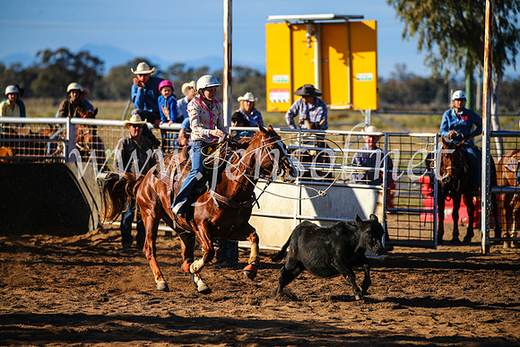 CoonambleRodeoCampdraftSun_2244