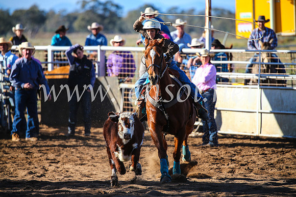 CoonambleRodeoCampdraftSun_2264