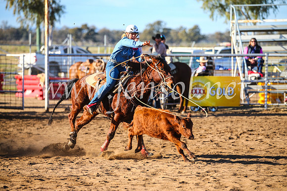 CoonambleRodeoCampdraftSun_2292