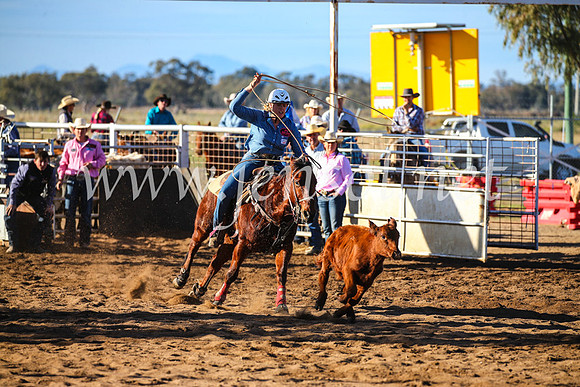 CoonambleRodeoCampdraftSun_2289